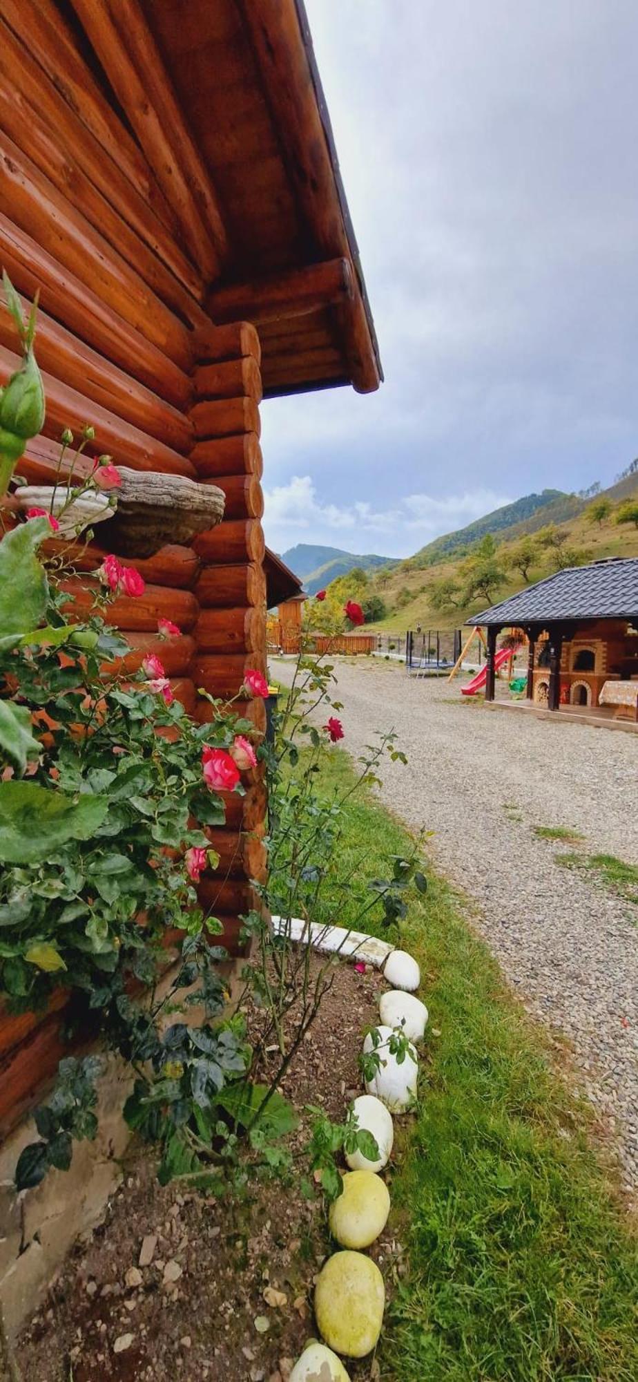 Pensiunea Suci Botiza Exterior foto