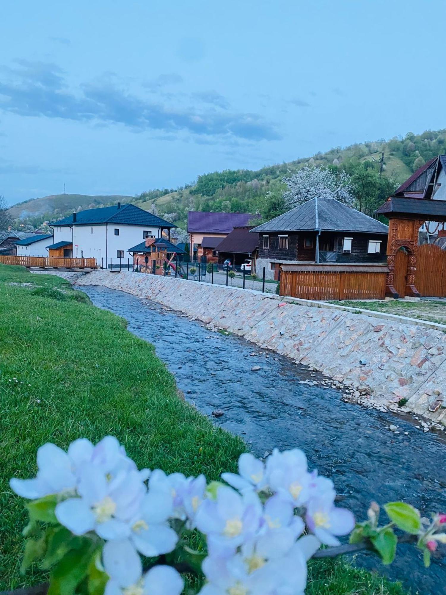 Pensiunea Suci Botiza Exterior foto