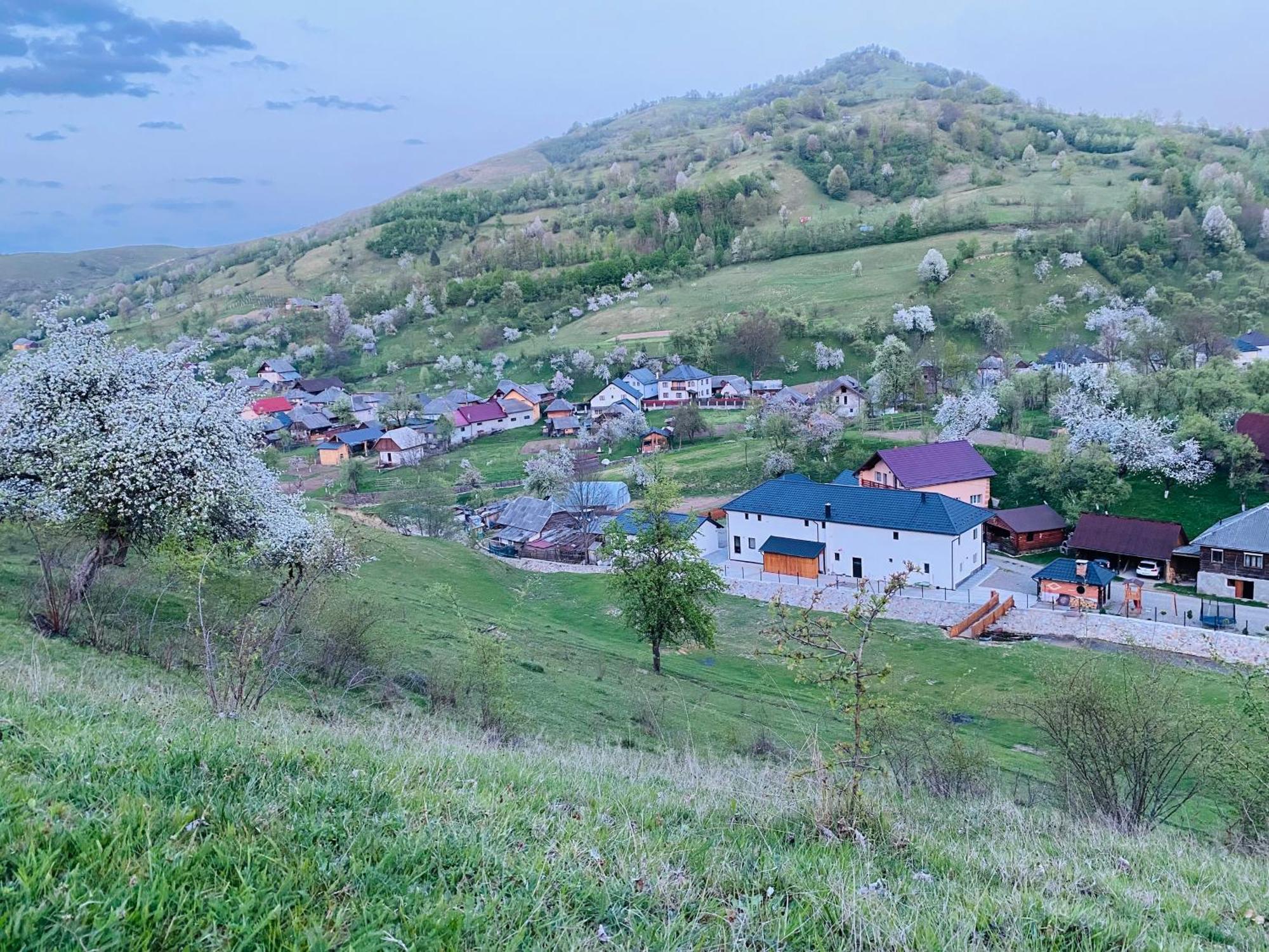 Pensiunea Suci Botiza Exterior foto