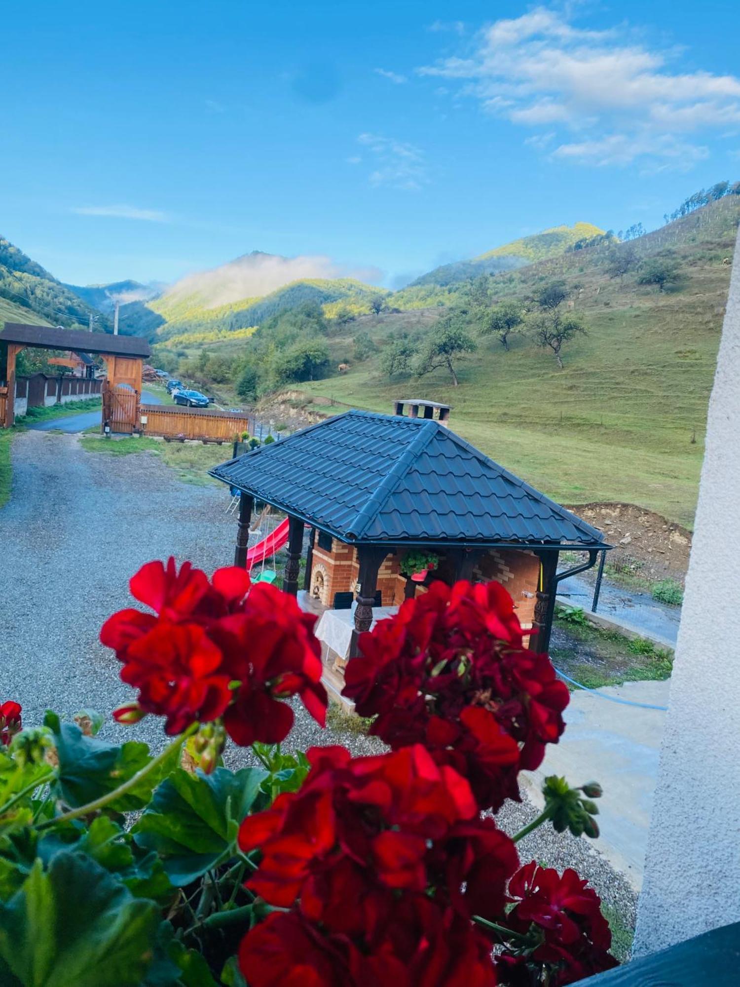 Pensiunea Suci Botiza Exterior foto