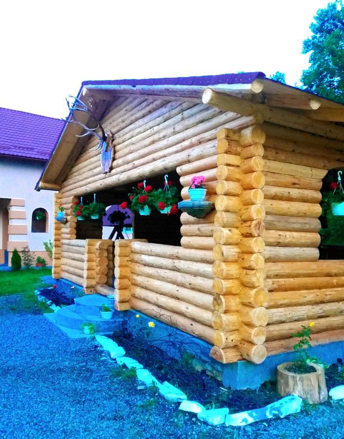 Pensiunea Suci Botiza Exterior foto